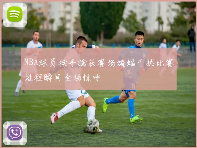 NBA球员徒手擒获赛场蝙蝠干扰比赛进程瞬间全场惊呼