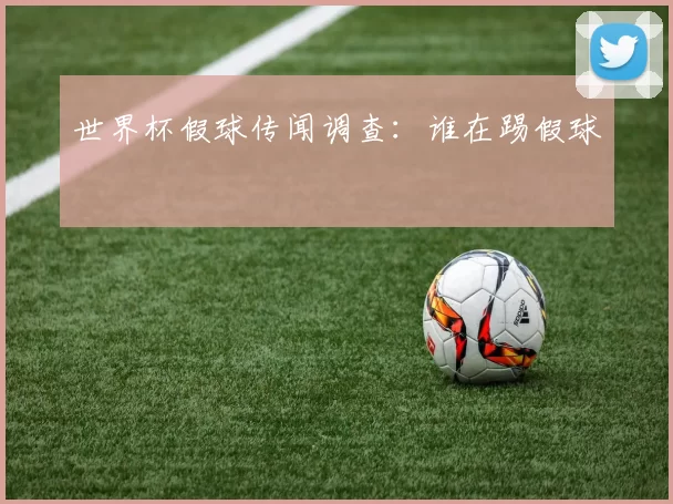 世界杯假球传闻调查:谁在踢假球