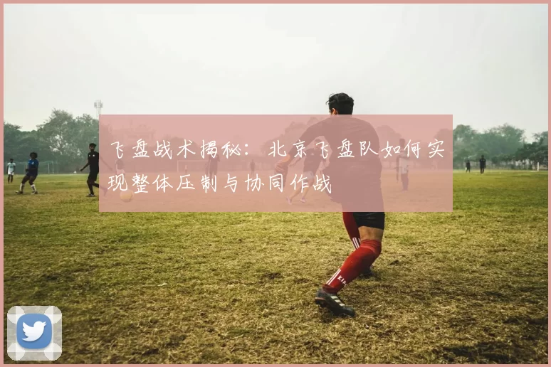 飞盘战术揭秘：北京飞盘队如何实现整体压制与协同作战