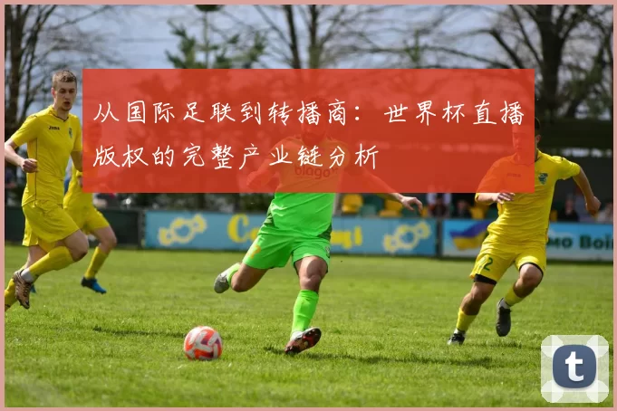 从国际足联到转播商:世界杯直播版权的完整产业链分析