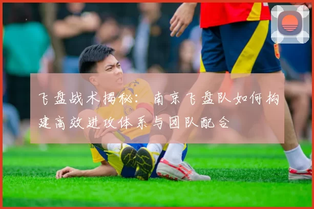 飞盘战术揭秘:南京飞盘队如何构建高效进攻体系与团队配合
