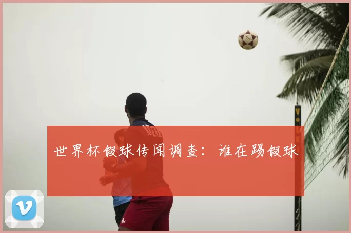 世界杯假球传闻调查：谁在踢假球