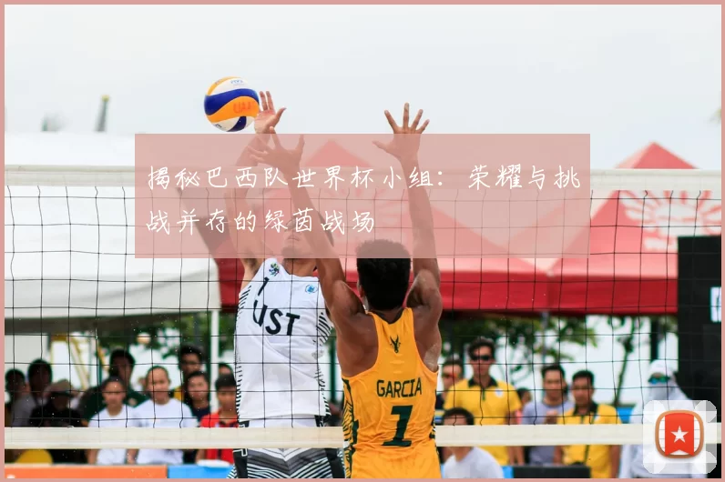 揭秘巴西队世界杯小组:荣耀与挑战并存的绿茵战场