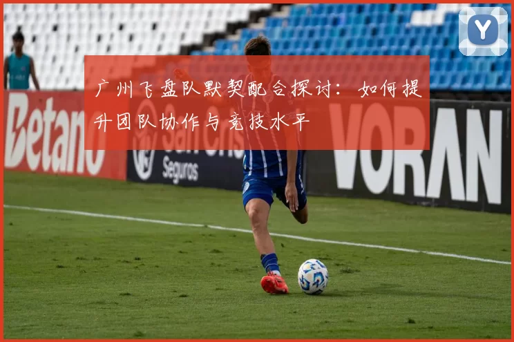 广州飞盘队默契配合探讨:如何提升团队协作与竞技水平
