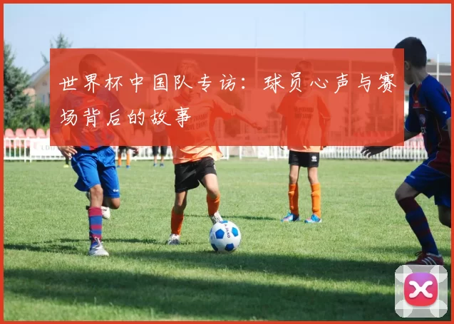 世界杯中国队专访:球员心声与赛场背后的故事
