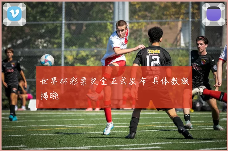 世界杯彩票奖金正式发布 具体数额揭晓