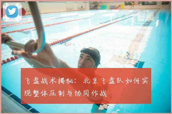 飞盘战术揭秘：北京飞盘队如何实现整体压制与协同作战