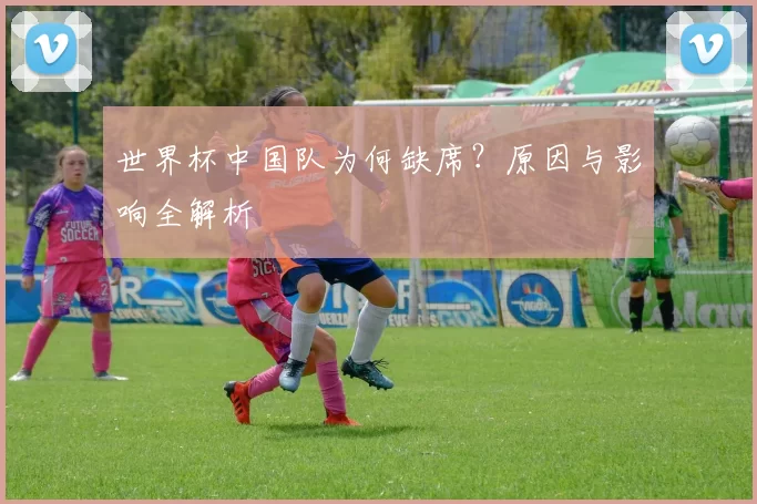 世界杯中国队为何缺席?原因与影响全解析