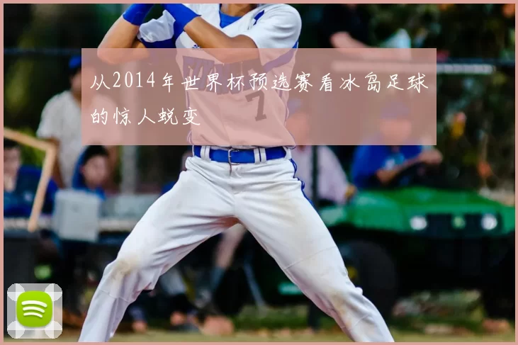 从2014年世界杯预选赛看冰岛足球的惊人蜕变