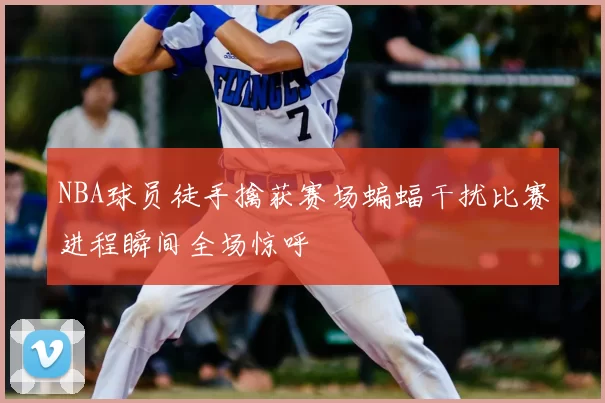 NBA球员徒手擒获赛场蝙蝠干扰比赛进程瞬间全场惊呼