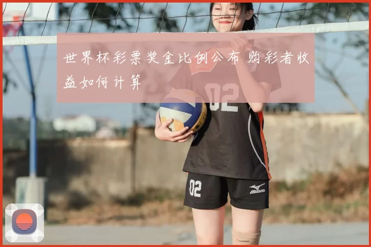 世界杯彩票奖金比例公布 购彩者收益如何计算